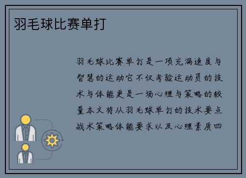 羽毛球比赛单打